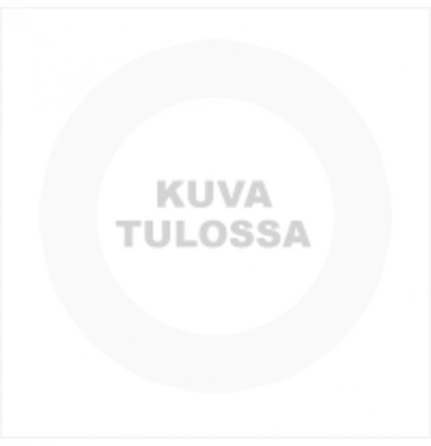 Sini Tuplajynssäri